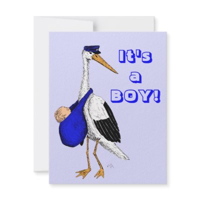 Baby Delivery Stork Birth Announcement Card by EdwardWCole