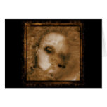 BABY DOLL CARD
