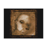 BABY DOLL POSTCARDS