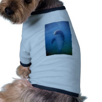 Baby dolphin, La Havana Aquarium, Cuba Dog Clothes