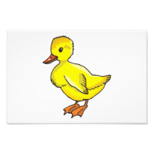 Baby duck cartoon photographic print