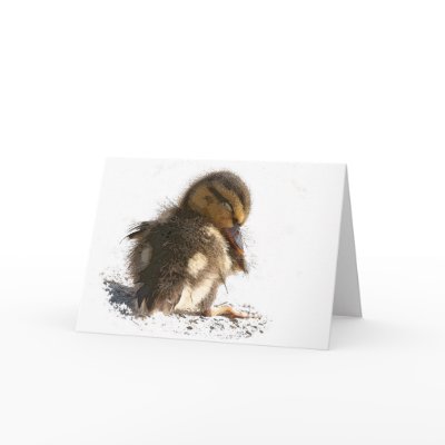 Baby Duck Duckling Card by farmer77