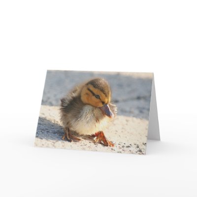 Baby Duck Duckling Card by farmer77