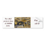 Baby Duck - Innocence bumper stickers