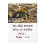 Baby Duck - Innocence Post Card