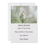 Baby duck announcements