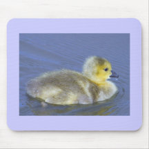 Baby Duck Mousemat