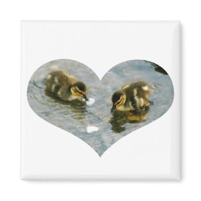 Baby Duckies Heart Magnet by thehatch
