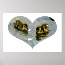 Baby Duckies Heart Poster