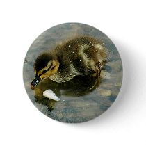 Baby Duckling Button
