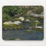Baby Ducks 1 Mousepad