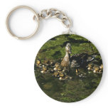 Baby Ducks 2 Keychain