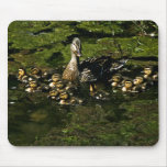Baby Ducks 2 Mousepad