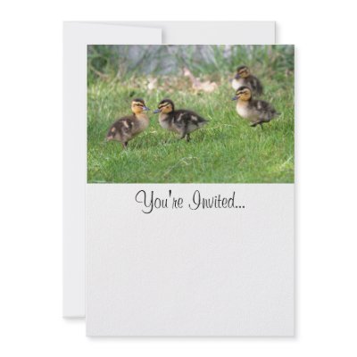 Baby Ducks Photo Custom Invites by funnaturephotography