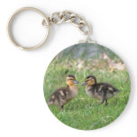Baby Ducks Photo Keychains