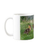 Baby Ducks Photo Mug