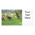 Baby Ducks Photo Photo Card Template