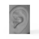 Baby Ear (blank inside) Greeting Card
