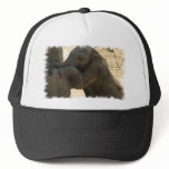 Baby Elephant Baseball Hat