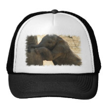 Baby Elephant Baseball Hat