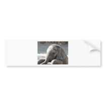 baby elephant bumper sticker