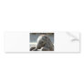 baby elephant bumper sticker