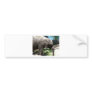 baby elephant by water bumper sticker