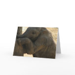 Baby Elephant Greeting Card