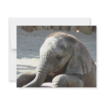 baby elephant custom invitation