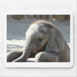 baby elephant mouse pads