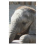 baby elephant stationery design