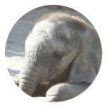 baby elephant round sticker