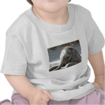 baby elephant t-shirts