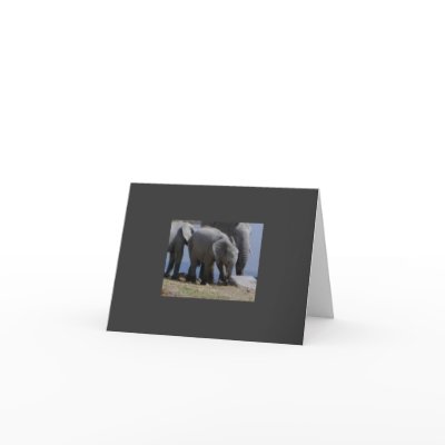 Baby Elephant Walk Greeting Card by MoiraMacKinnon