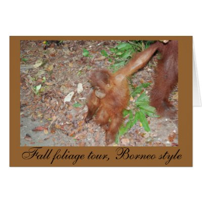 Baby Enjoys Fall Foliage -card by Rebecca_Reeder