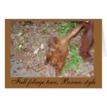 Baby Enjoys Fall Foliage -card