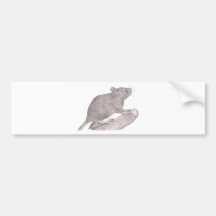 Baby Fancy Rat Bumper Stickers