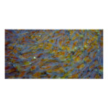 Baby Fish and Eggs photo cards