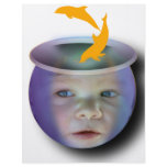 Baby Fish Bowl flyers