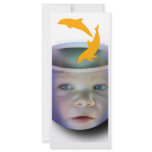 Baby Fish Bowl rack cards