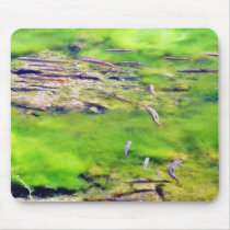 Baby Fish Mouse Pad
