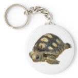 Baby Ghopher Tortoise keychains