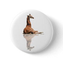 BABY GIRAFFE PINBACK BUTTONS