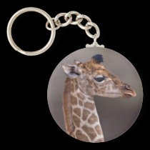 Baby Giraffe Keyring keychains