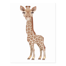Baby Giraffe Postcard