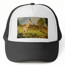 Baby Giraffe wildlife hats