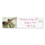 Baby Girl Birth Announcement Bumper Sticker bumper stickers