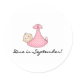 Baby Girl Due in September