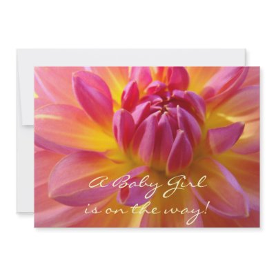Baby Girl is on the way! Baby Shower invitations by Basleeartprintgifts