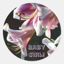 Baby Girl! stickers Cards Invitations Pink Lily